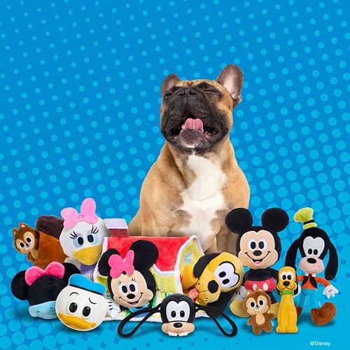 BARK 6 Month Subscription - Mickey & Friends Double Deluxe First Box