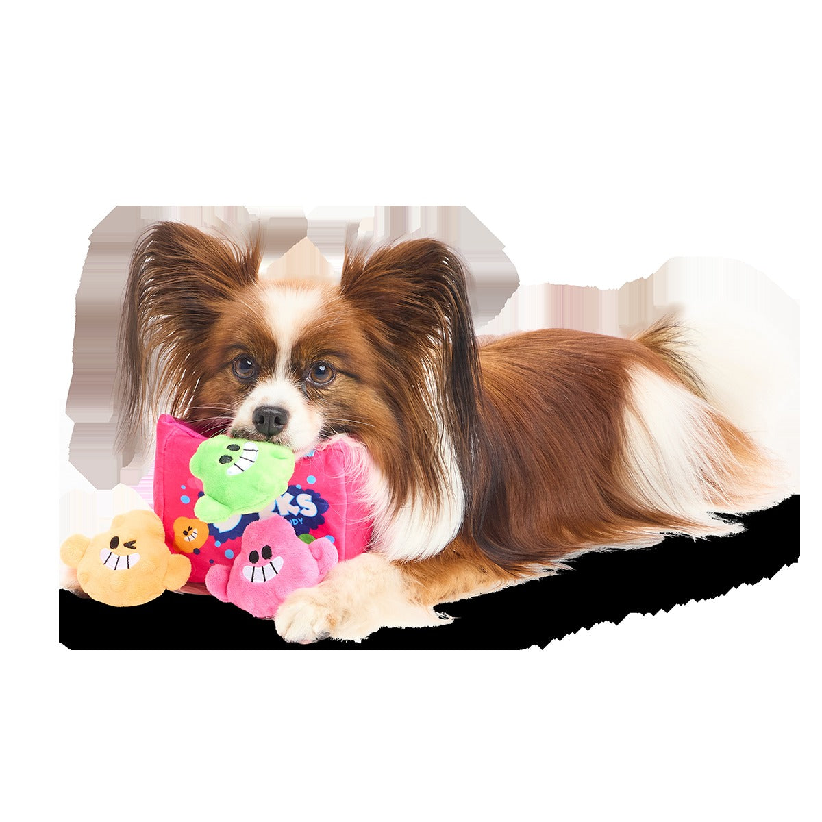 Dorks Plush Multi-Part + Enrichment Dog Toy