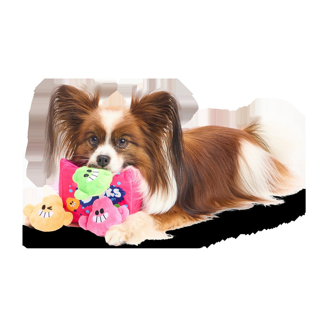 Dorks Plush Multi-Part + Enrichment Dog Toy