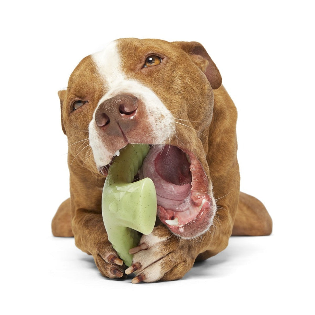 Chopper Super Chewer Durable Gnaw Dog Toy