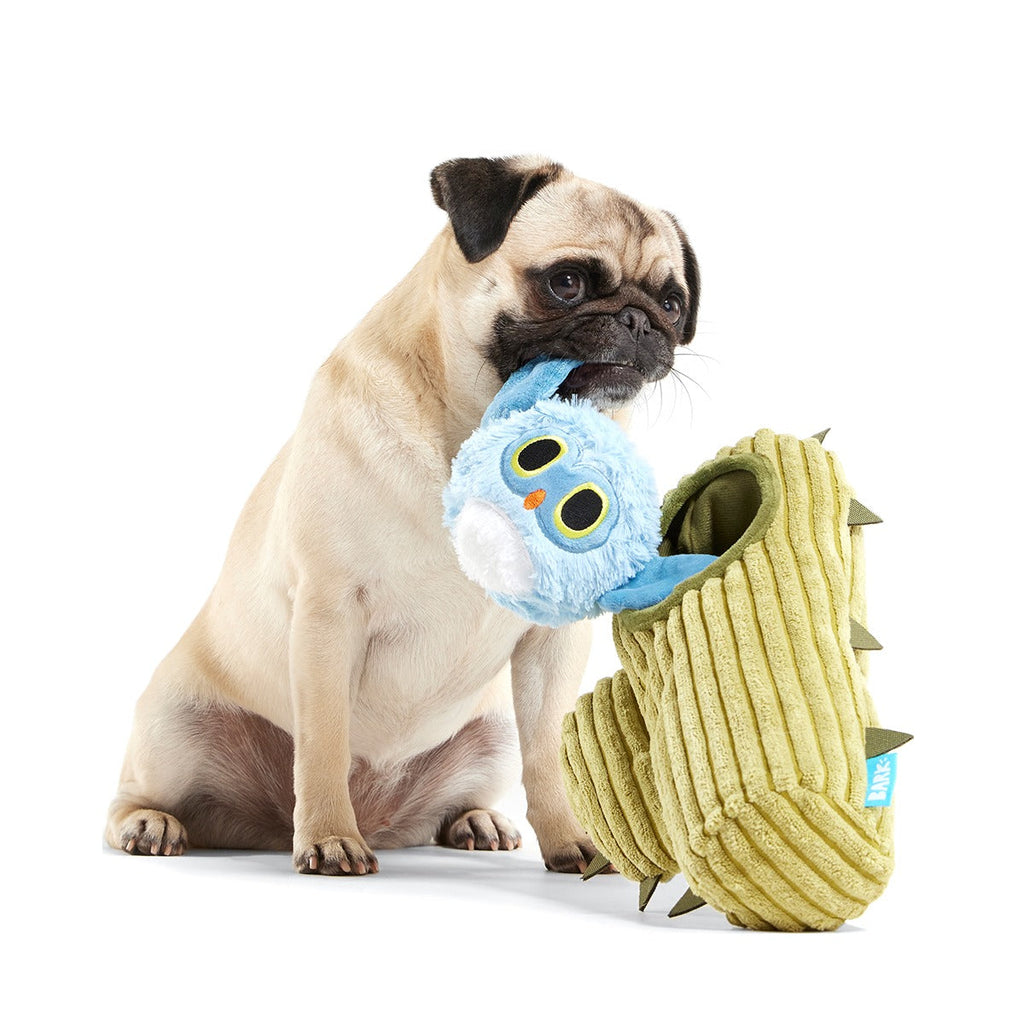 Saguaro Sammy Plush Multi-Part + Tug Dog Toy