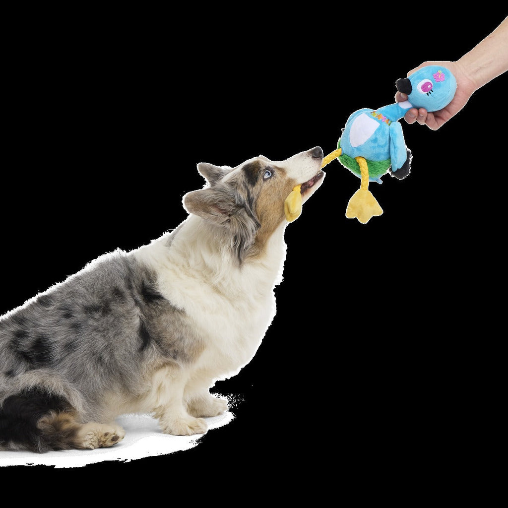 Lele the Nene Goose Plush Tug + Extra-Large Dog Toy