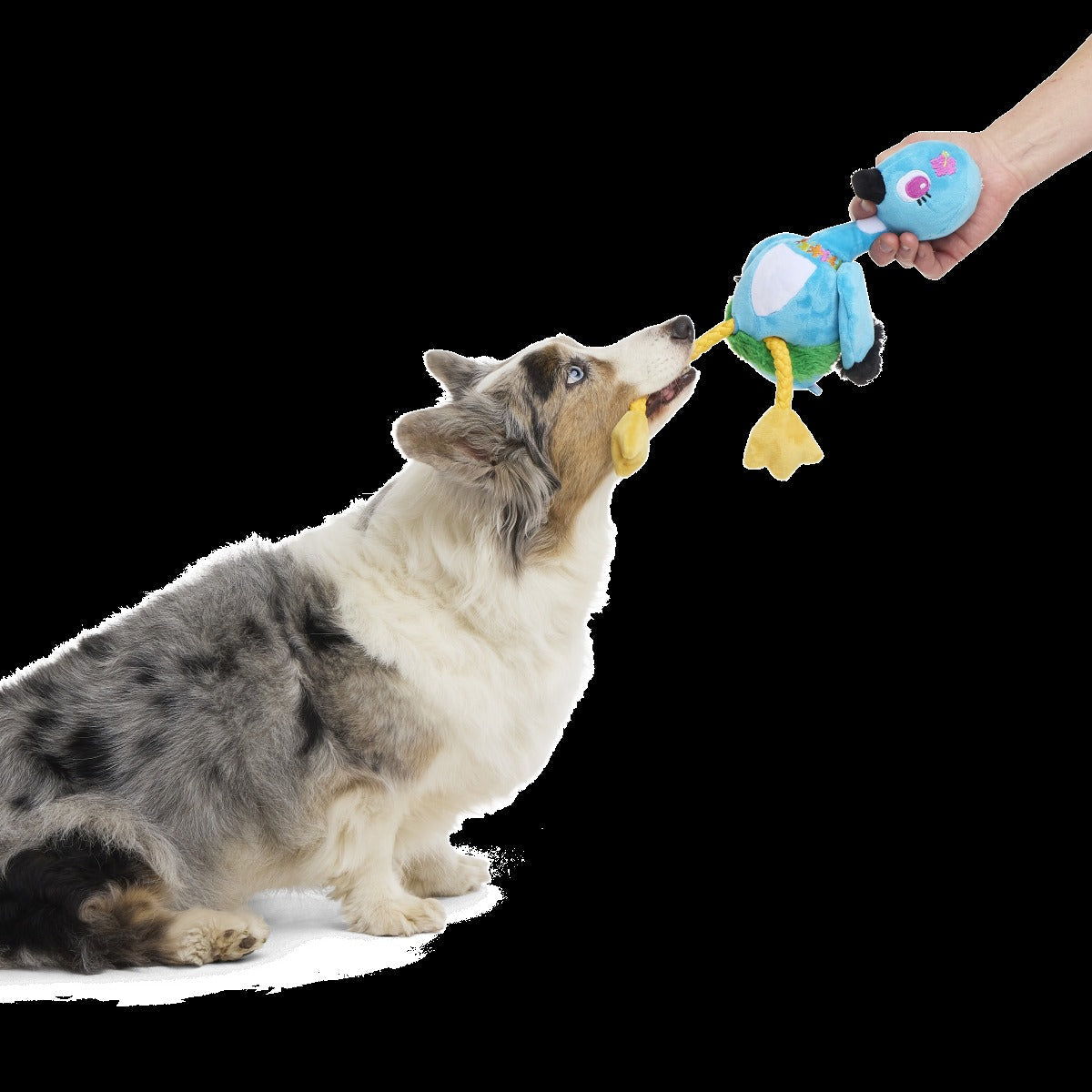 Lele the Nene Goose Plush Tug + Extra-Large Dog Toy