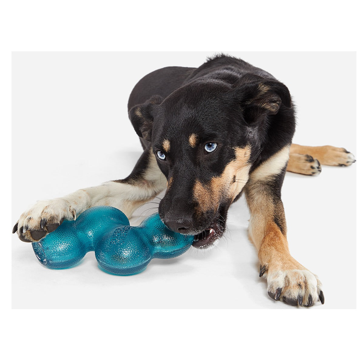 Treat Giver River Super Chewer Durable Enrichment Dog Toy