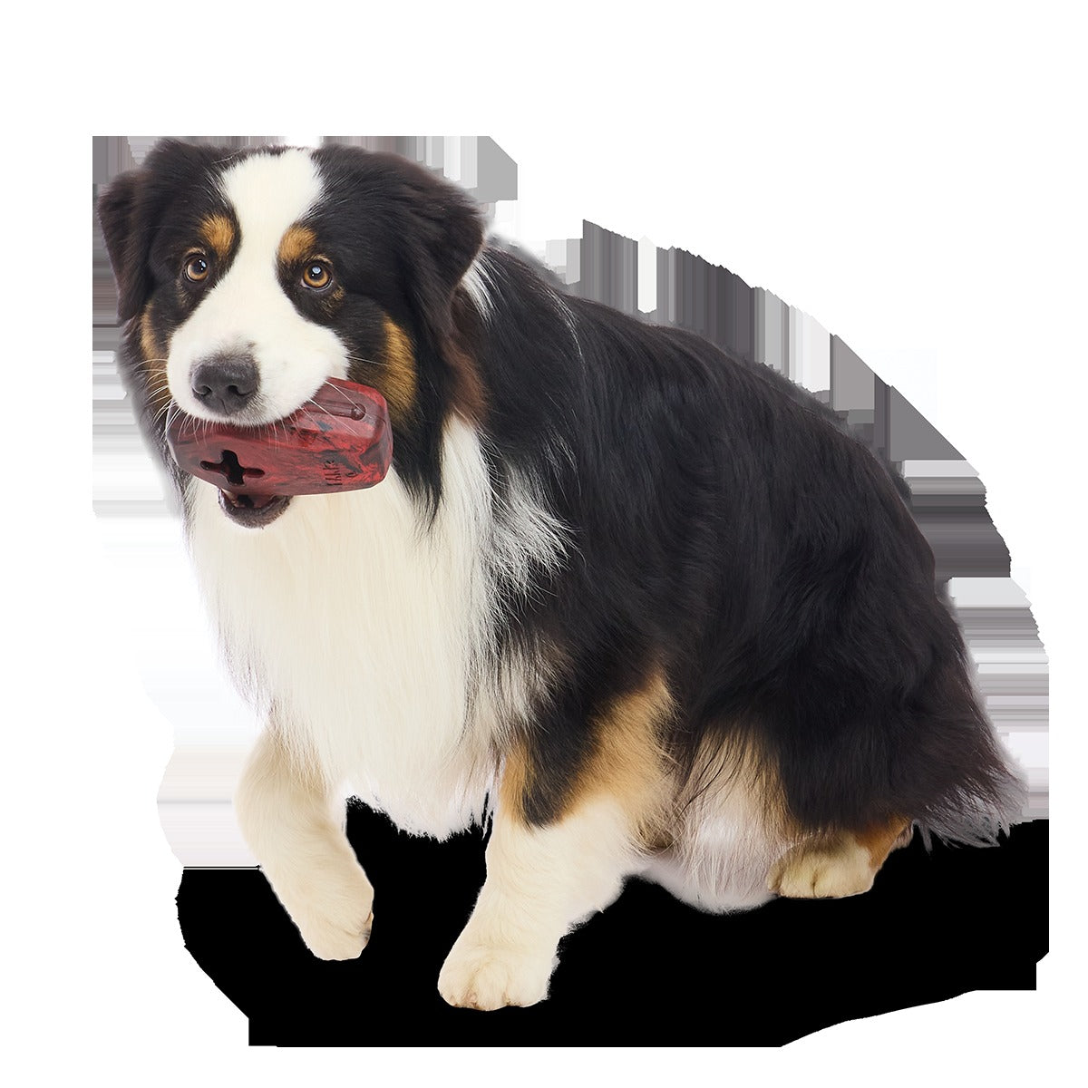 Rest In Treats Super Chewer Durable Enrichment Dog Toy