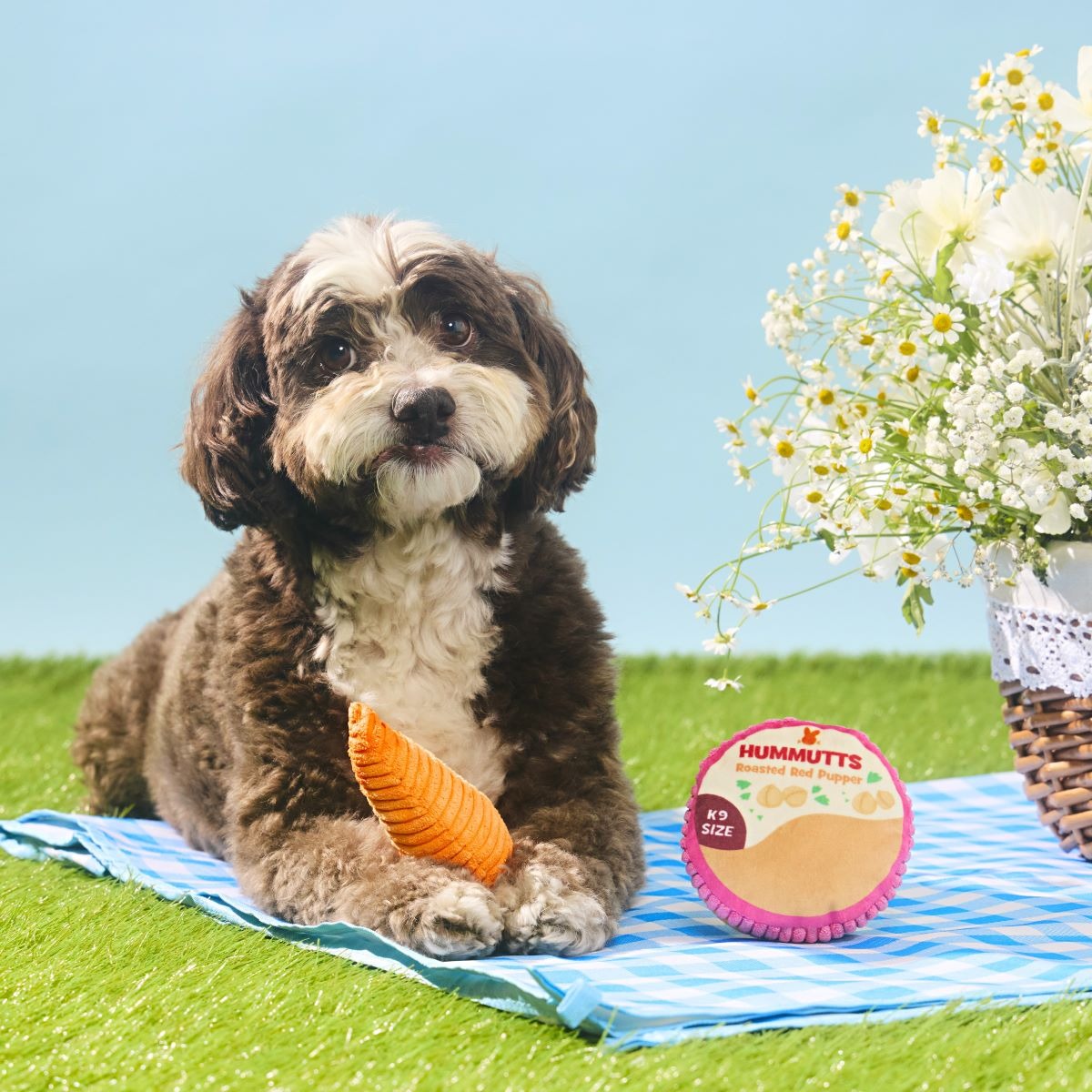 Carrot & Hummutts Plush Multi-Part Dog Toy