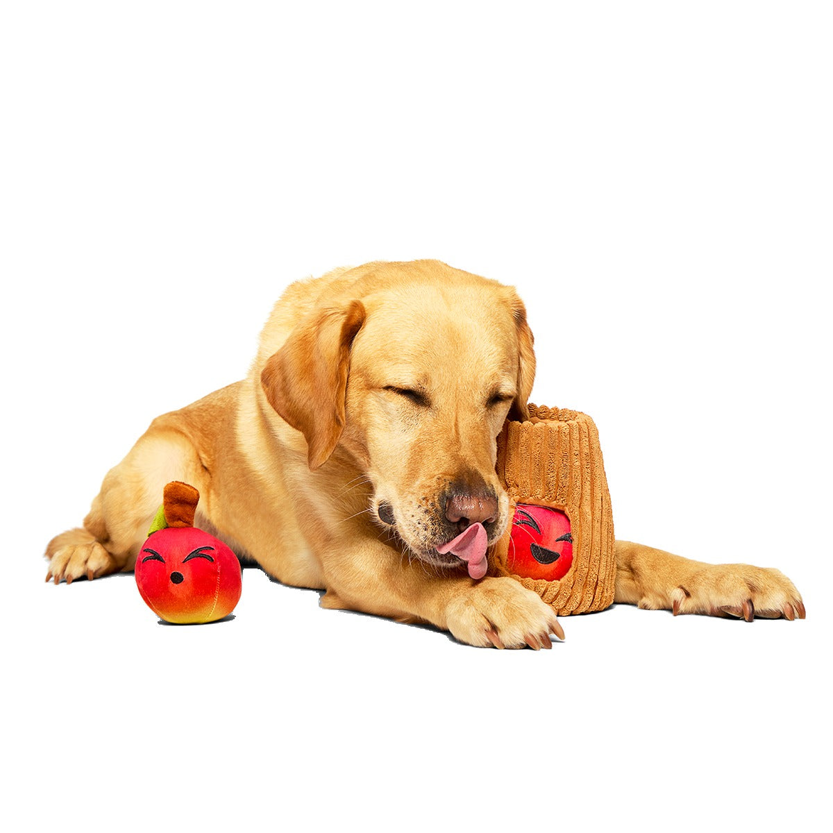 Them Apples Plush Multi-Part + Fetch + Enrichment Dog Toy
