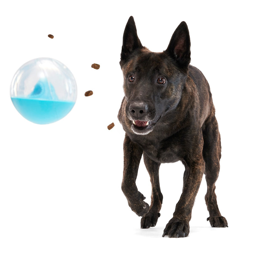 Apex Puzzler Super Chewer Durable Enrichment + Fetch Dog Toy