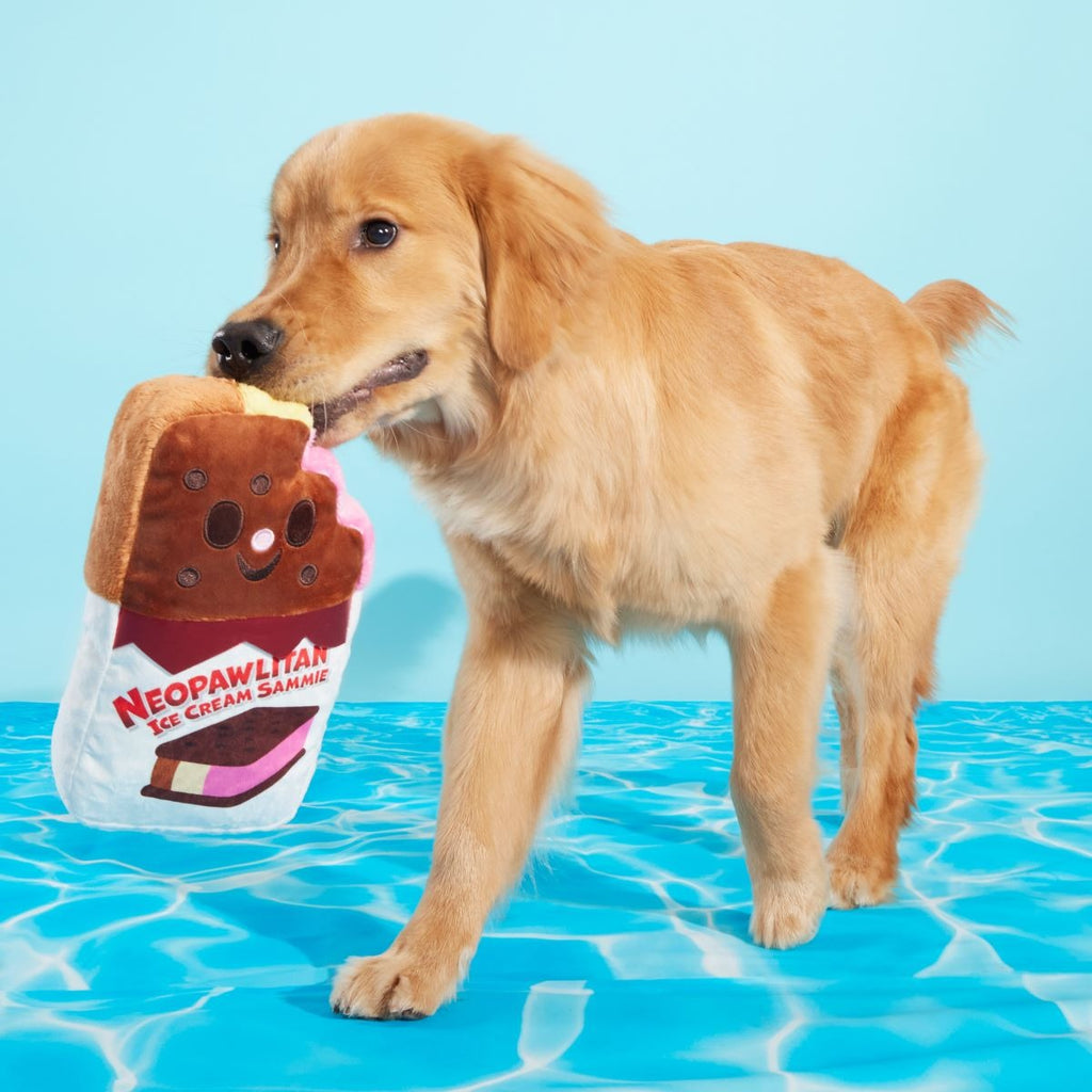 Grand Slam Ice Cream Sam Plush Extra-Large Dog Toy