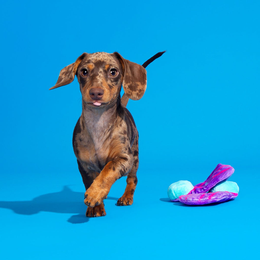 Snork N Bork Plush Multi-Part + Tug Dog Toy