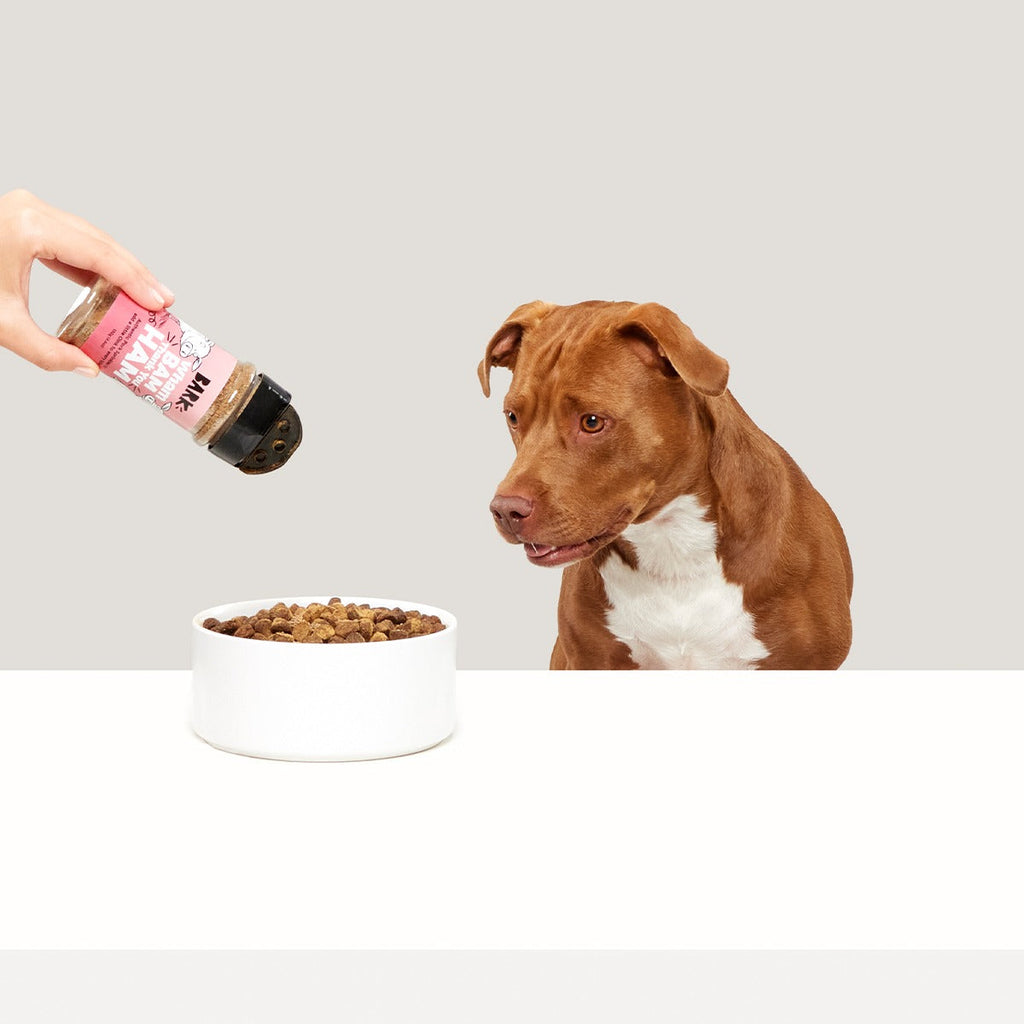 Wham Bam Thank You Ham Pork Dog Food Meal Topper
