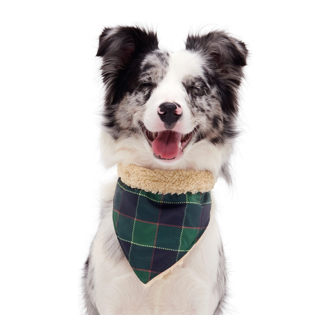 Plaid To The Bone Dog Bandana