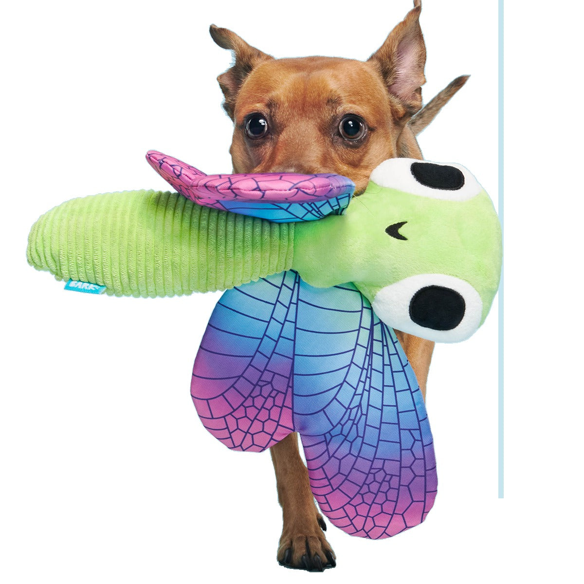 Dragonfly Guy Plush Extra-Large + Tug Dog Toy