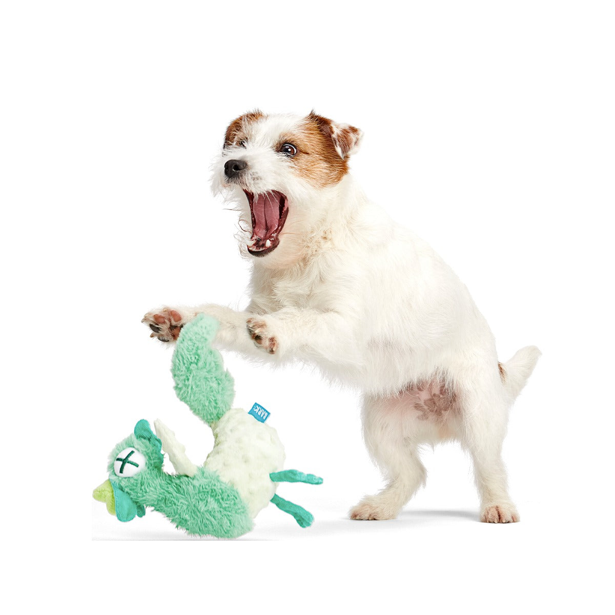 Poultrygeist Plush Tug Dog Toy