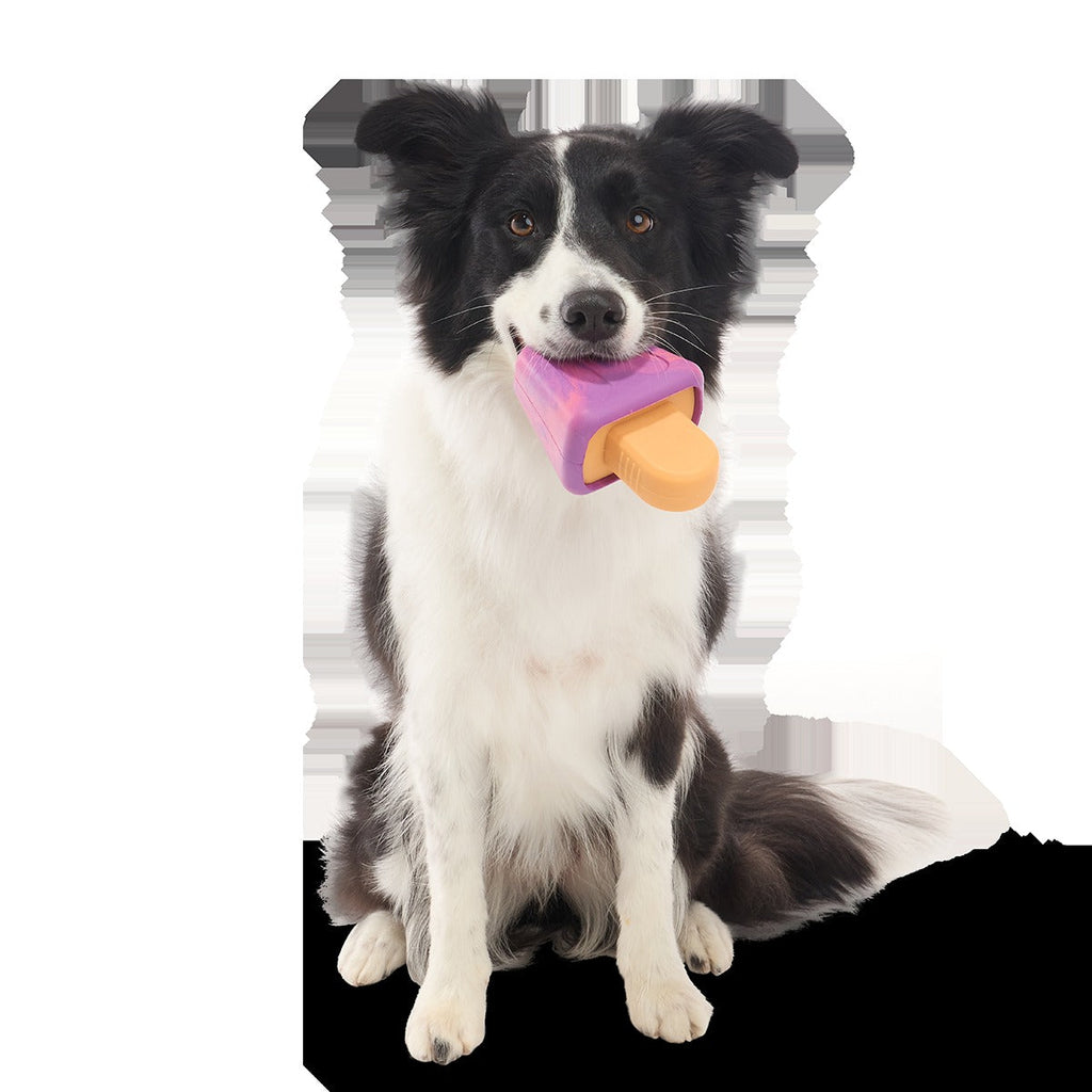 Chill N' Chomp Ice Pop Kit Super Chewer Durable Enrichment Dog Toy