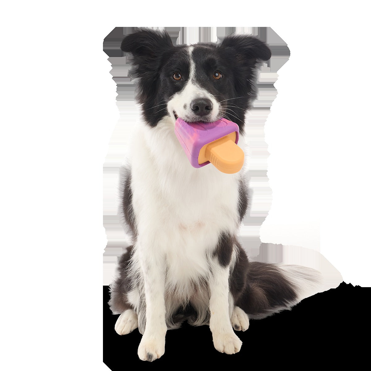 Chill N' Chomp Ice Pop Kit Super Chewer Durable Enrichment Dog Toy