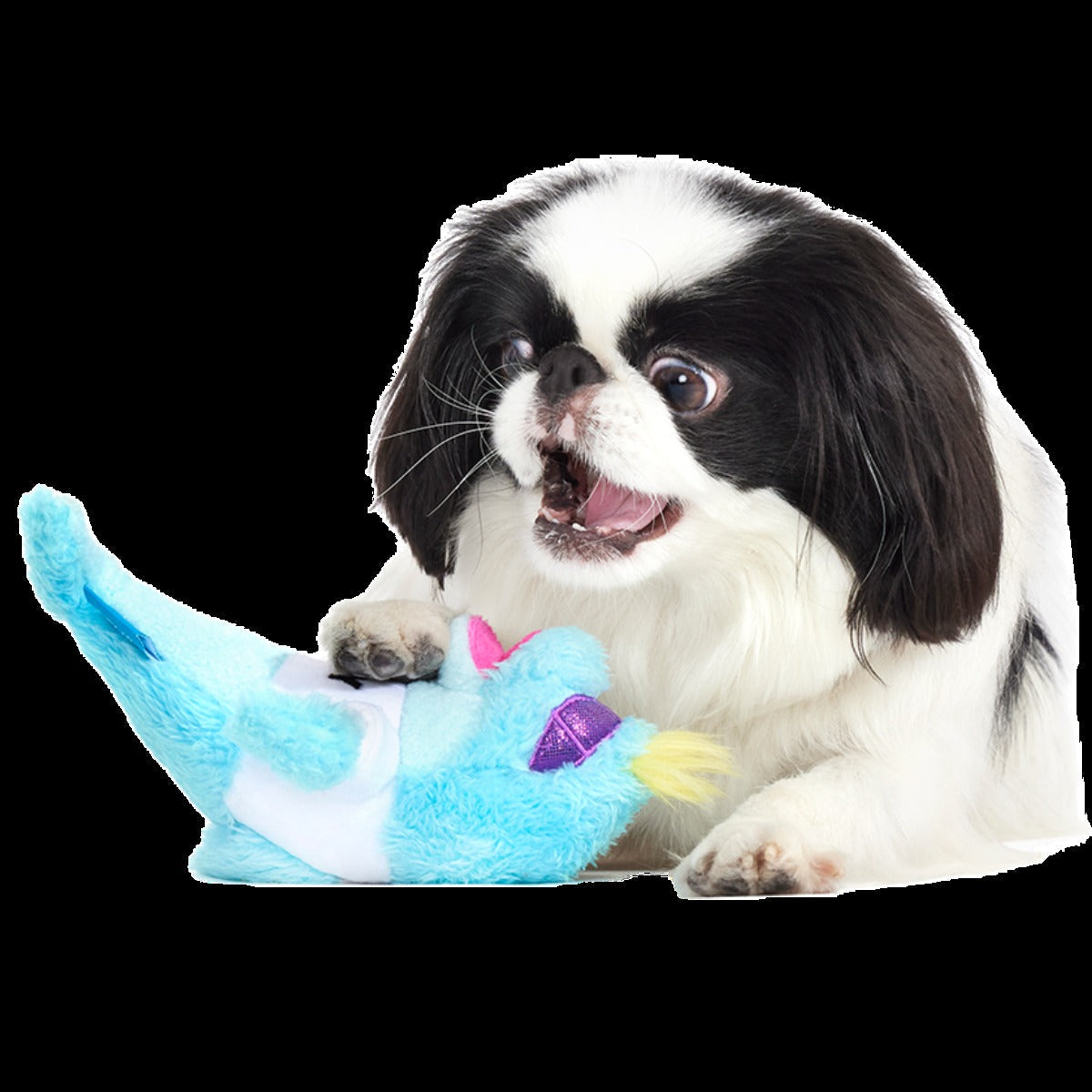 Daddy Dolphin Plush Tug Dog Toy