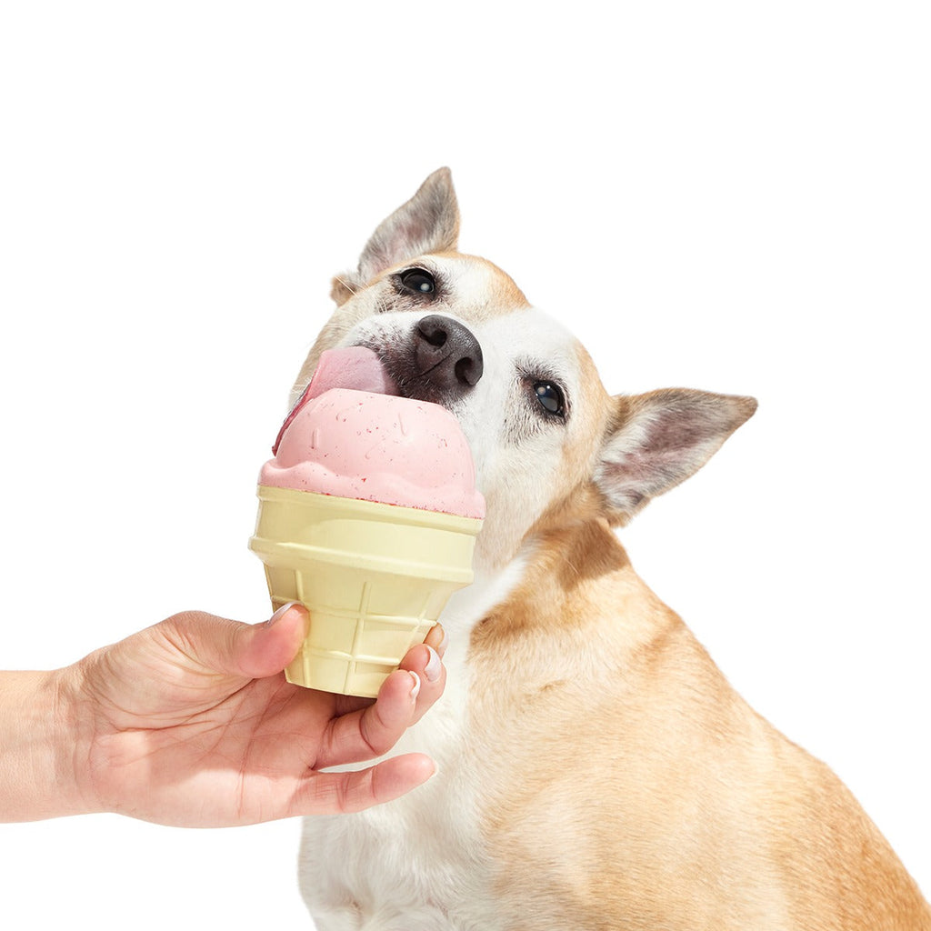 I Squeak Cone Super Chewer Durable Gnaw Dog Toy