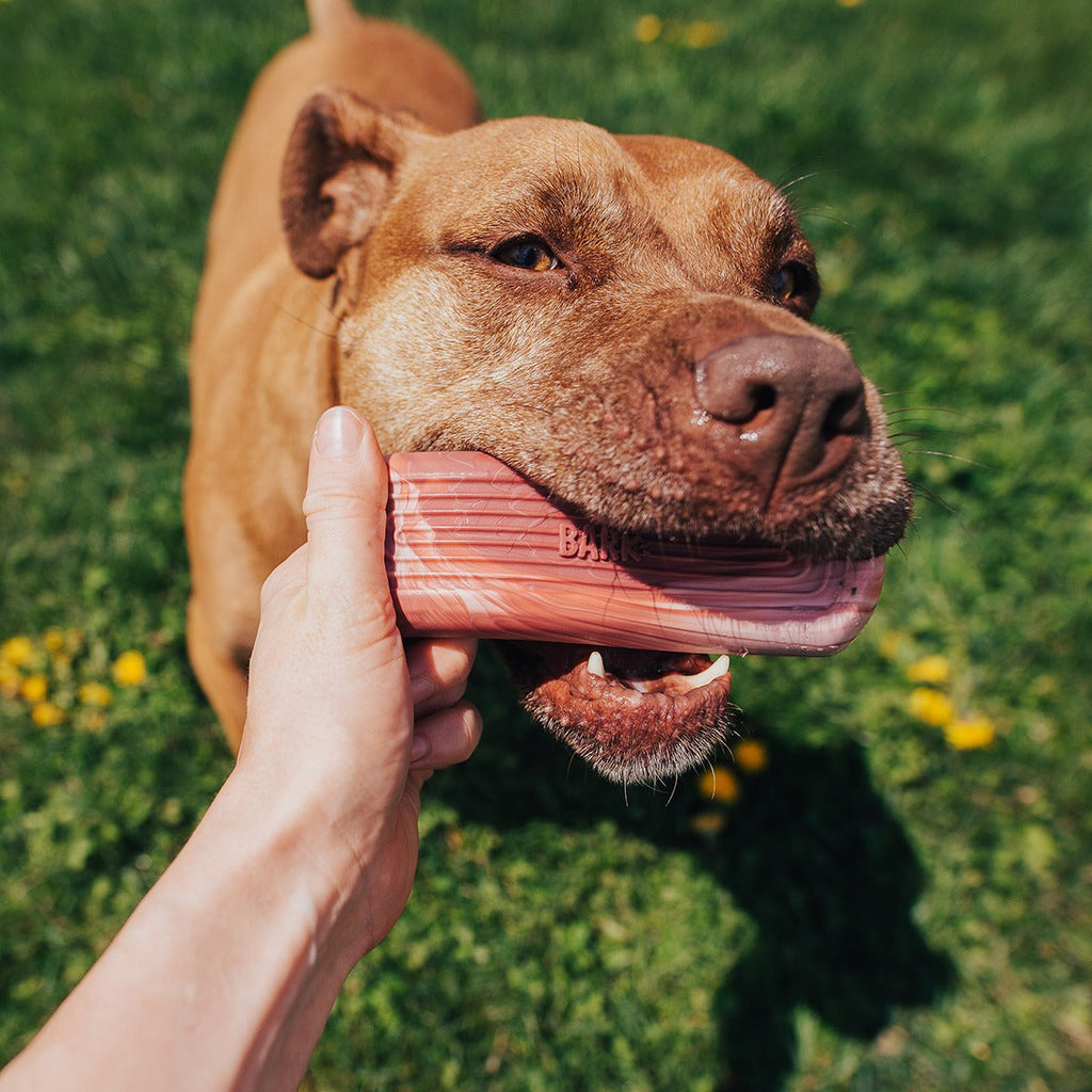 Tough Break Bacon Super Chewer Durable Gnaw Dog Toy