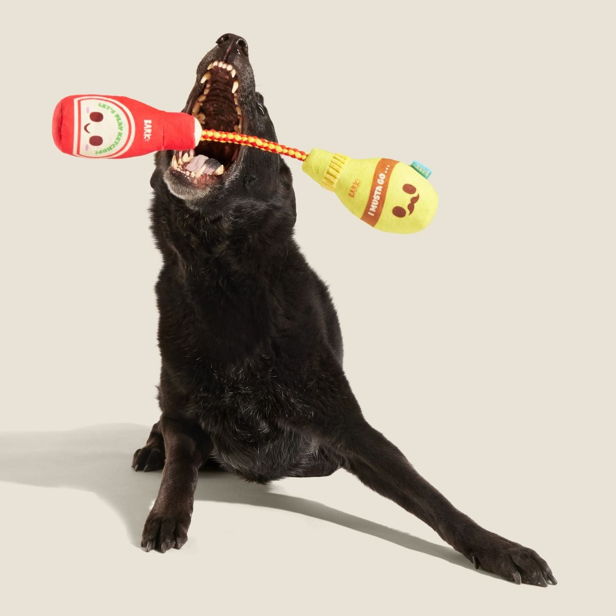 Cat & Mutt Condimutts Plush Tug Dog Toy
