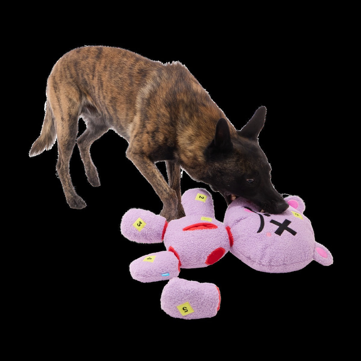 Deady Bear Plush Extra-Large + Multi-Part + Enrichment Dog Toy