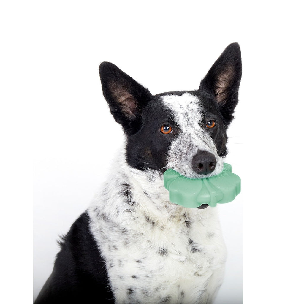 Fur Leaf Clover Super Chewer Durable Gnaw Dog Toy