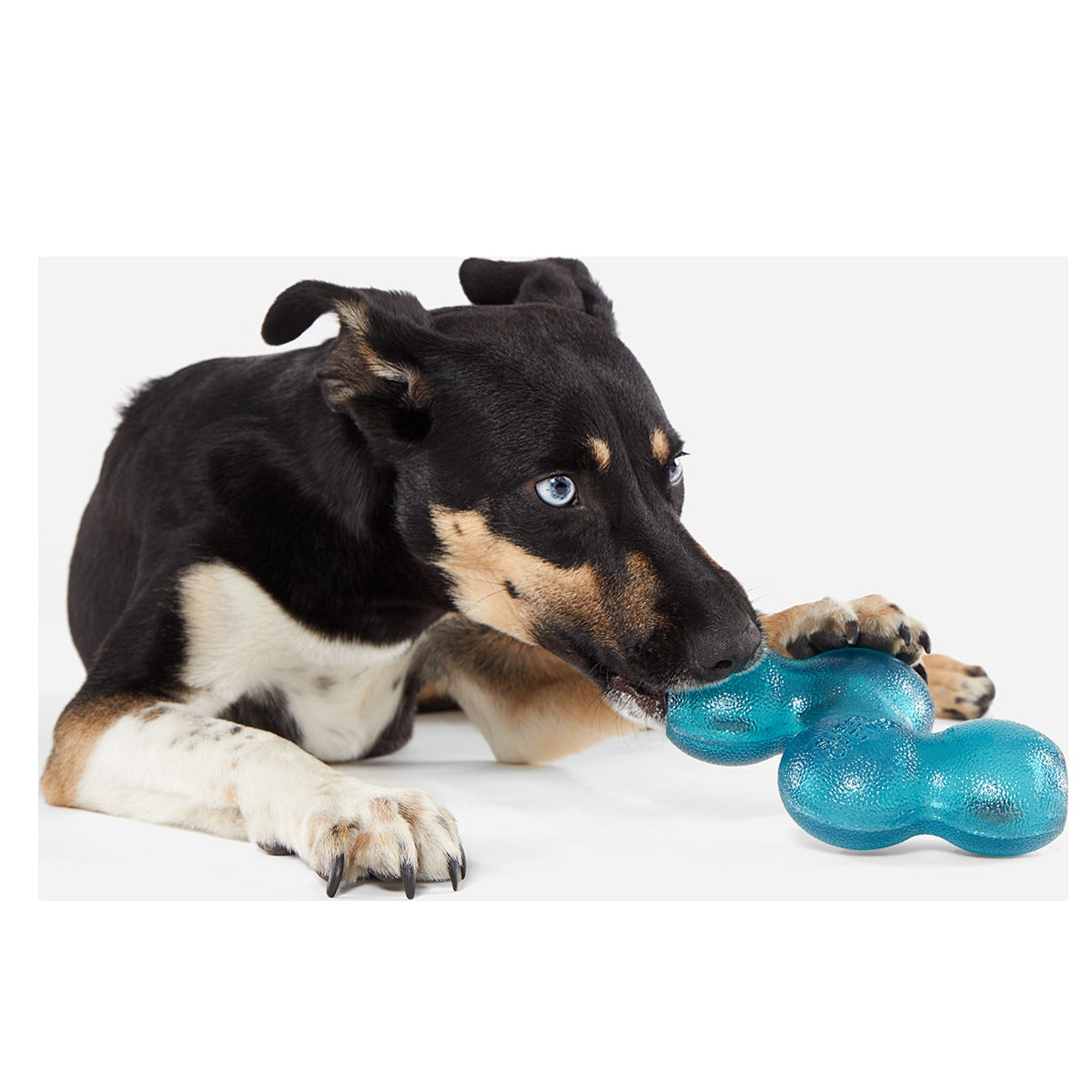 Treat Giver River Super Chewer Durable Enrichment Dog Toy