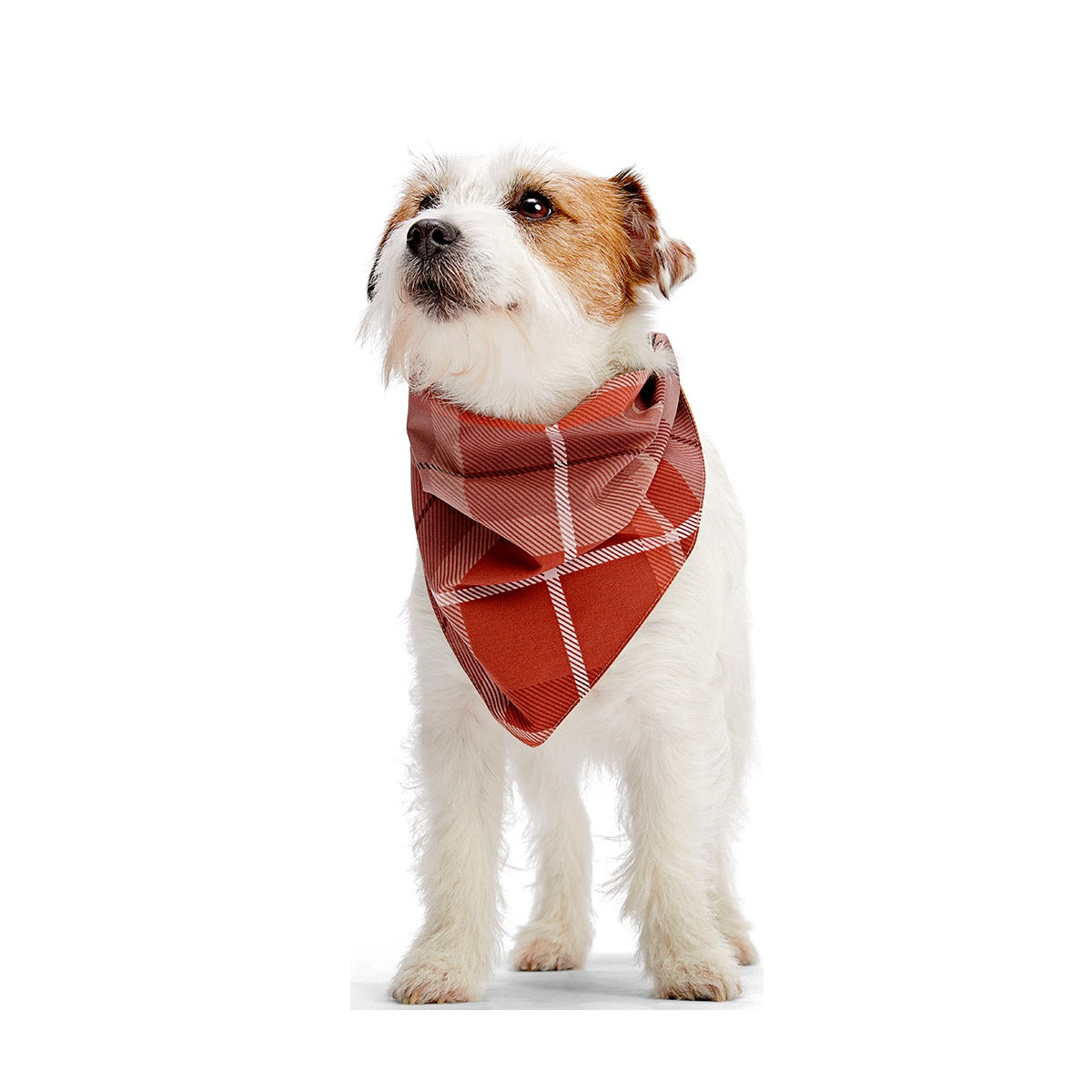 Fall Reversible Dog Bandana