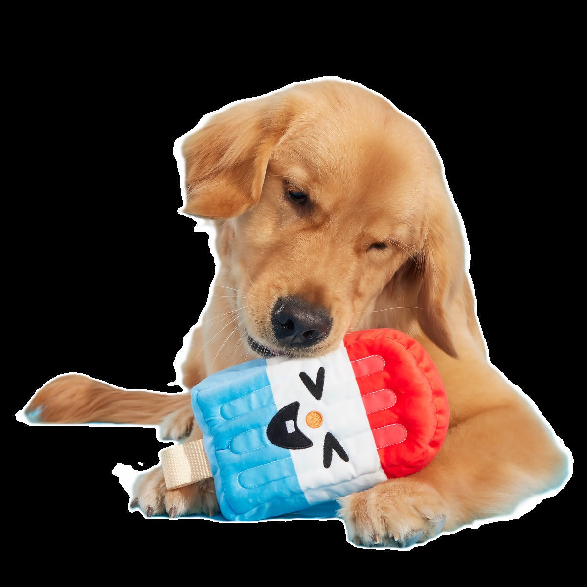 Rocket Droosicle Plush Tug Dog Toy