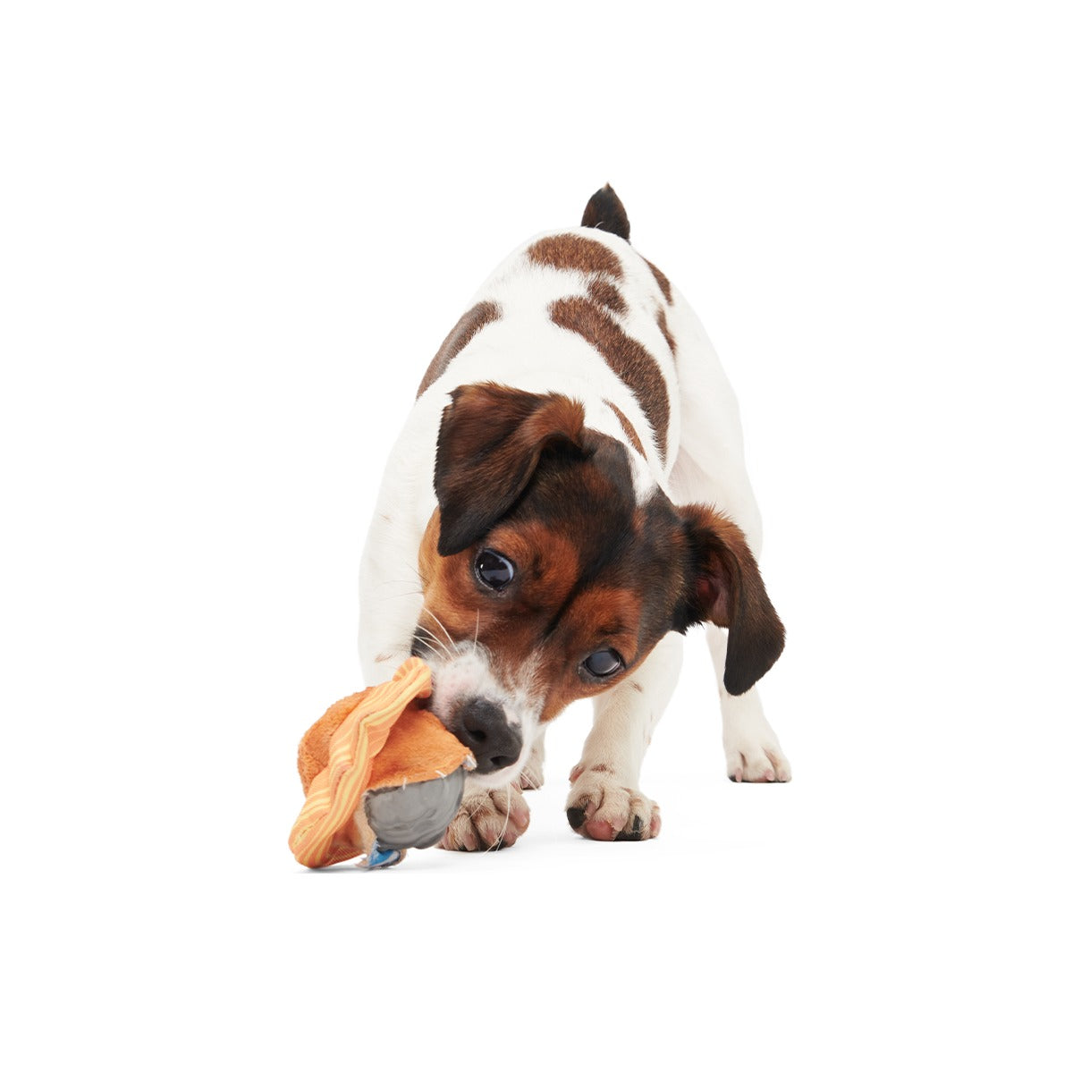 Flings Around Saturn Super Chewer Durable 2-in-1 + Fetch Dog Toy