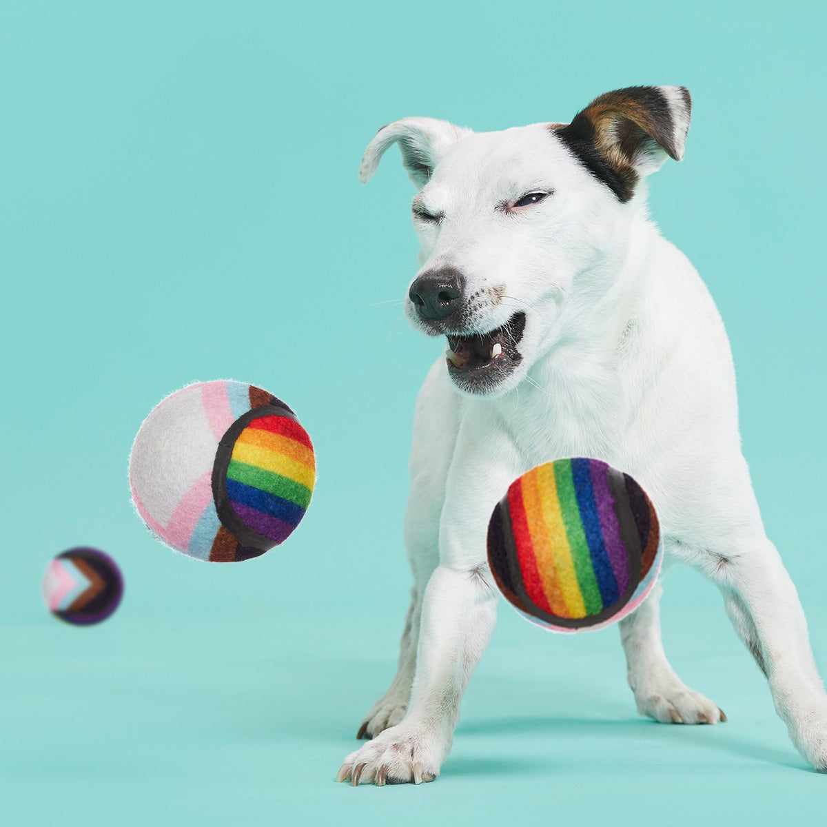 Fetch is Fetch Plush Multi-Part Dog Toy