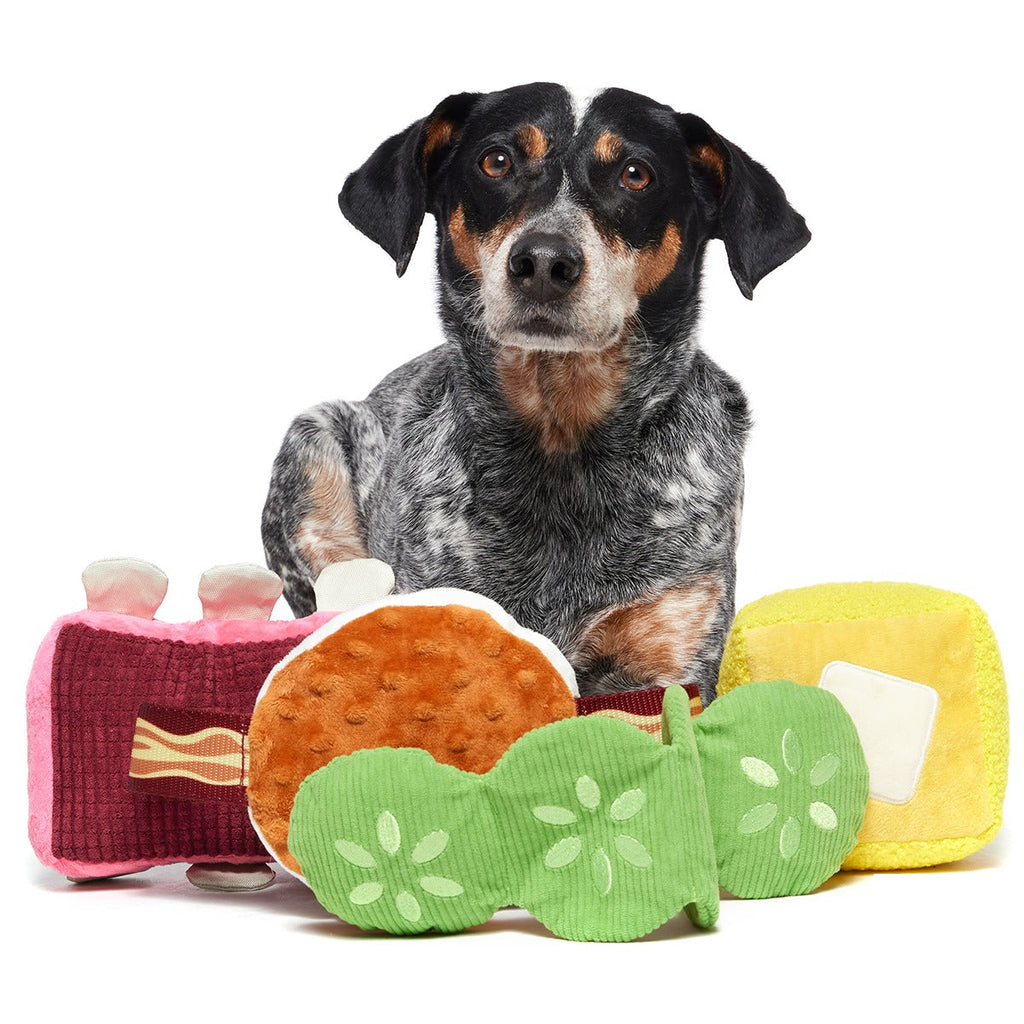 Squeak & Three Plush Multi-Part Dog Toy