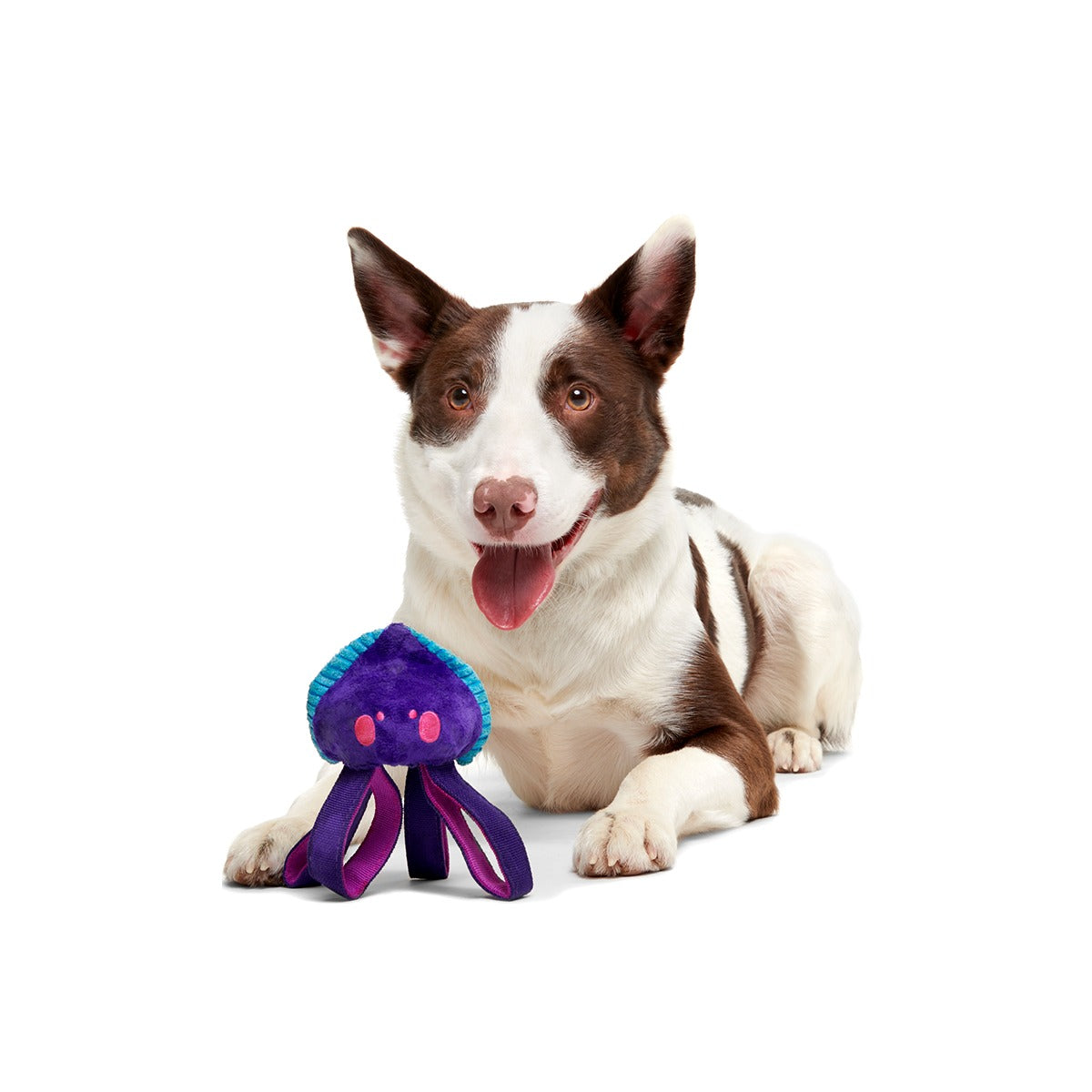 Karen Kraken Super Chewer Durable 2-in-1 + Tug Dog Toy