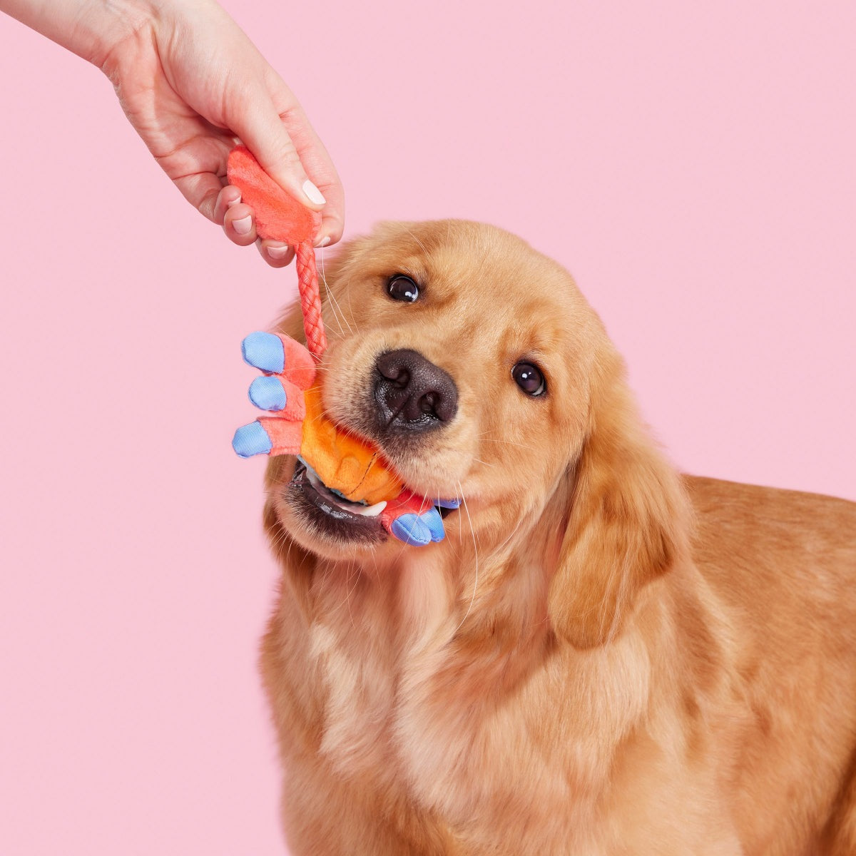 Sally Bitefoot Crab Plush Tug Dog Toy