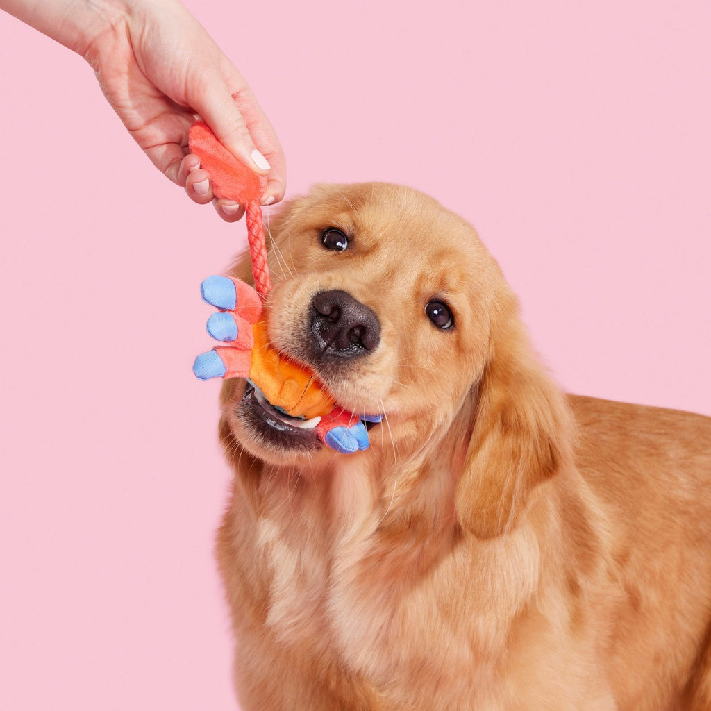 Sally Bitefoot Crab Plush Tug Dog Toy