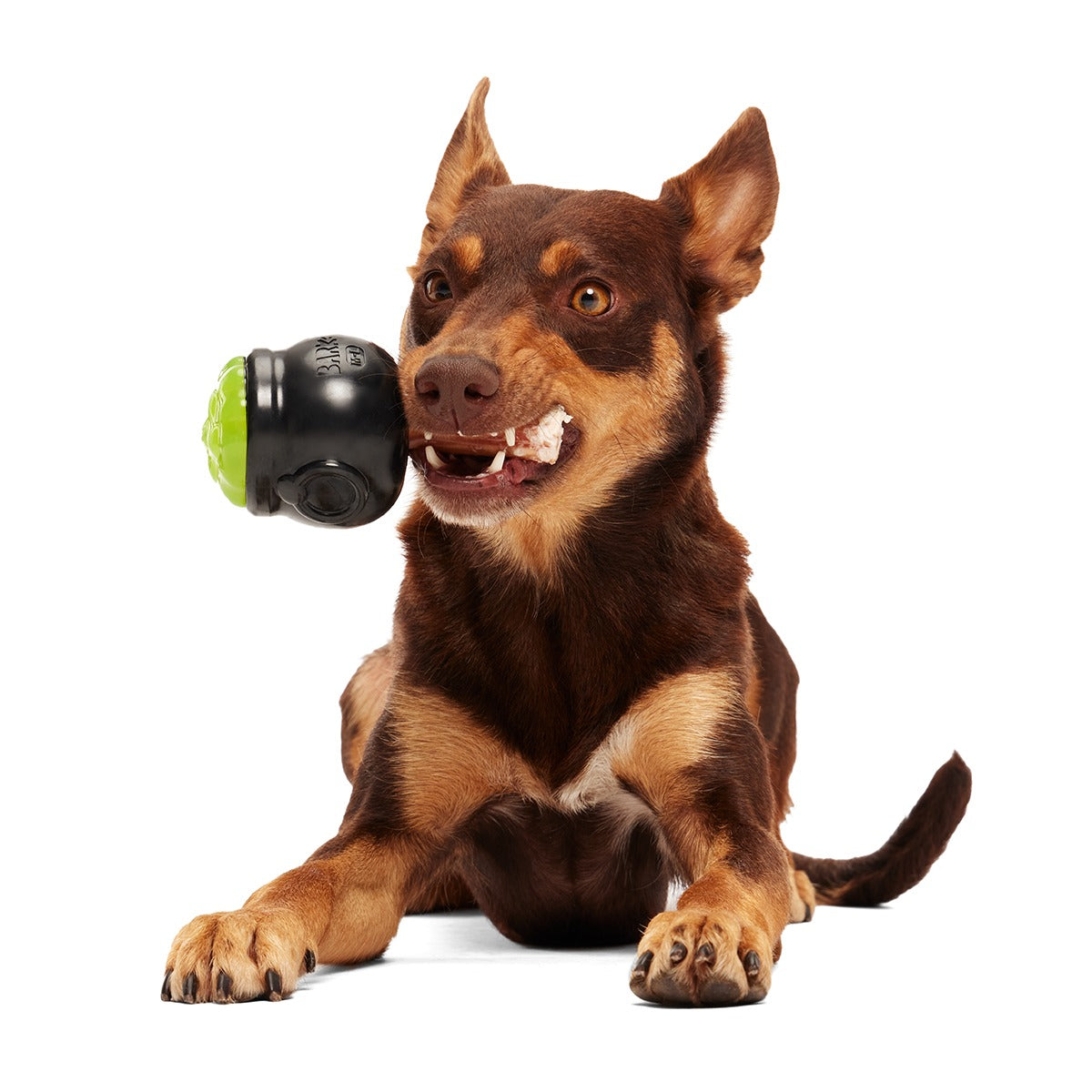 Gnawldron Super Chewer Durable Enrichment Dog Toy