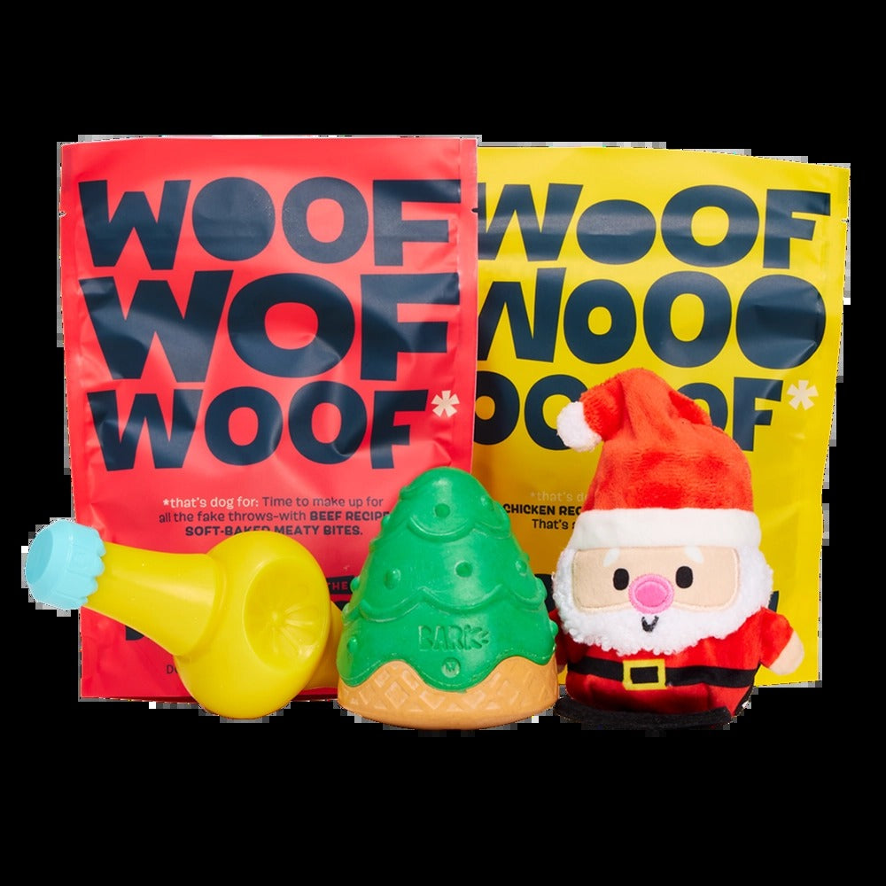 BARK 6 Month Subscription - FREE Extra Toys with Cardboard Box