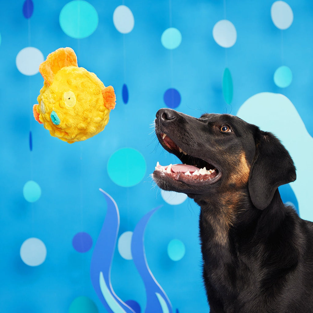 Bloated Barry the Blowfish Plush Fetch Dog Toy
