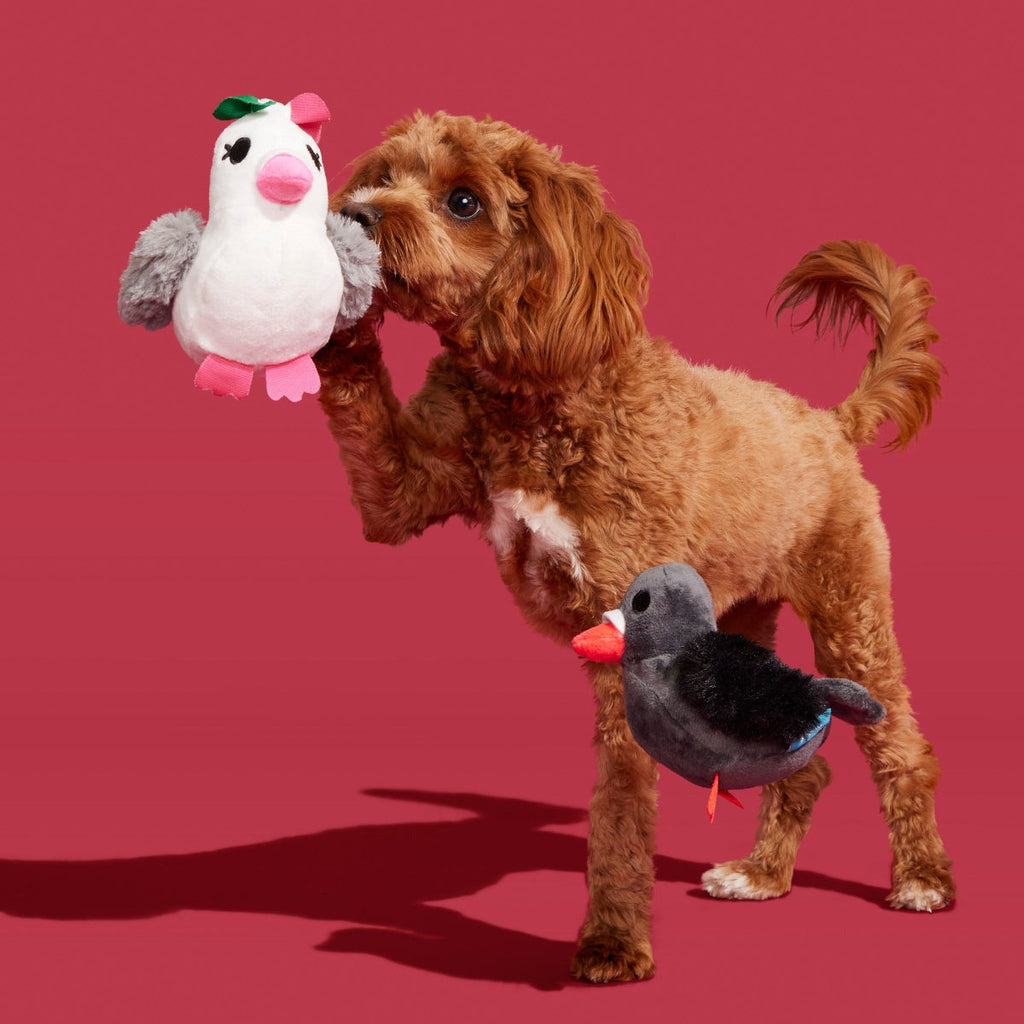 Coo Amore Plush Multi-Part + Tug Dog Toy