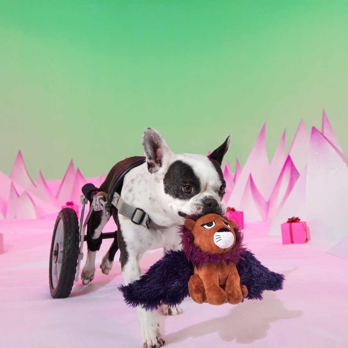 Rudolph® Holiday Gift BarkBox
