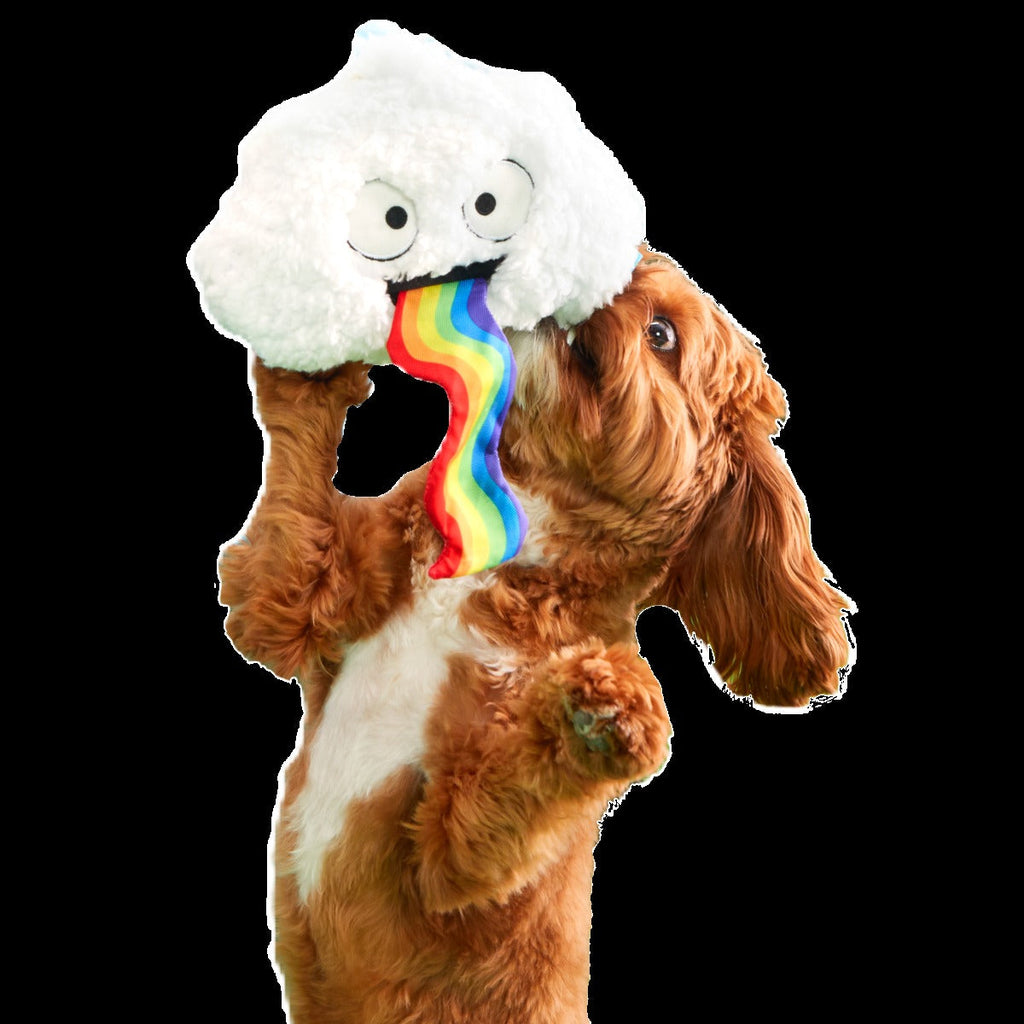 Loud and Proud Cloud Plush Tug Dog Toy