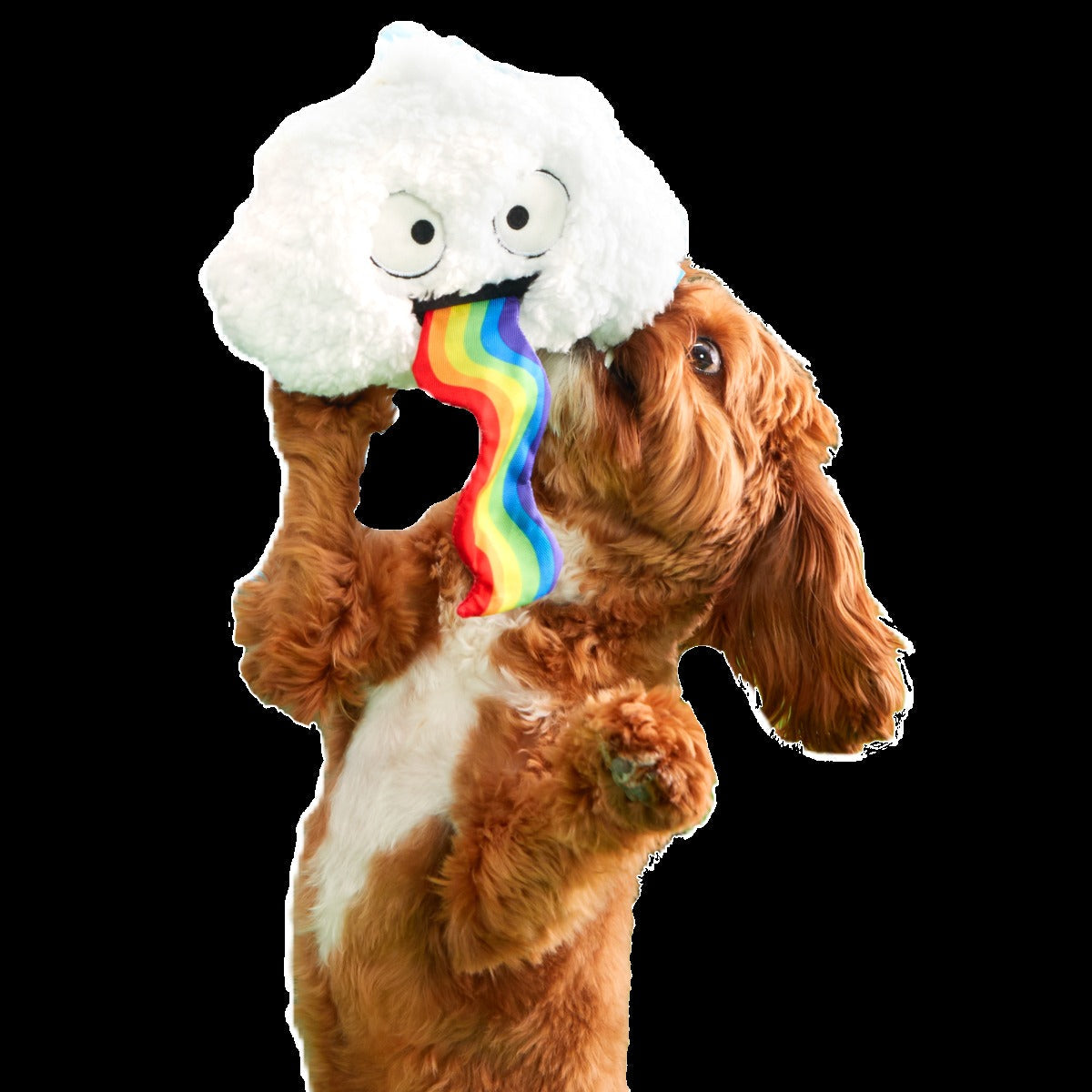 Loud and Proud Cloud Plush Tug Dog Toy