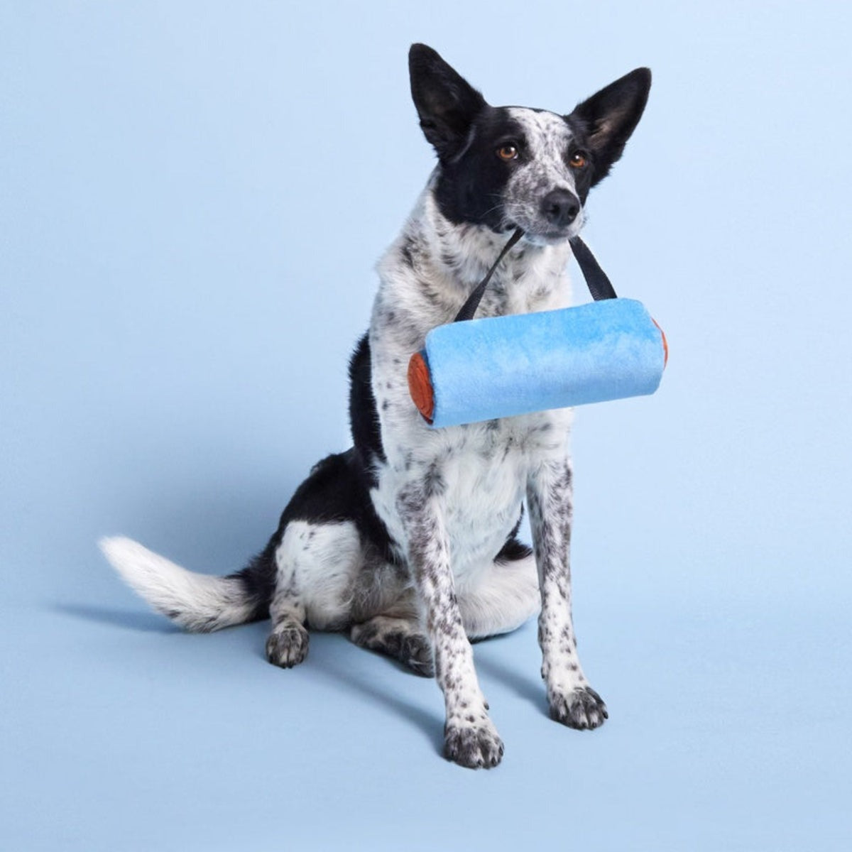 Yogrrr Mat Plush Tug + Enrichment Dog Toy