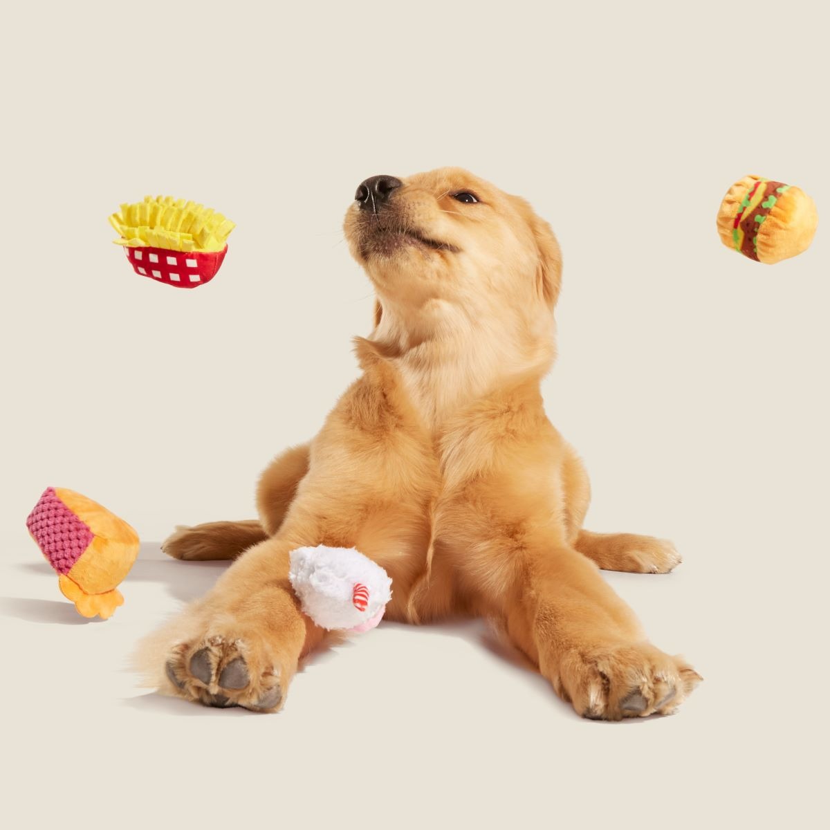 Dine & Dash Bundle Plush Multi-Part Dog Toy