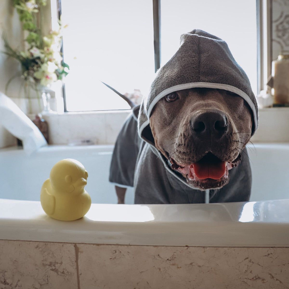 Robe & Duckie Bundle