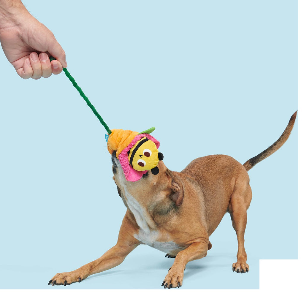 Pollen Nate Plush Tug + Fetch Dog Toy
