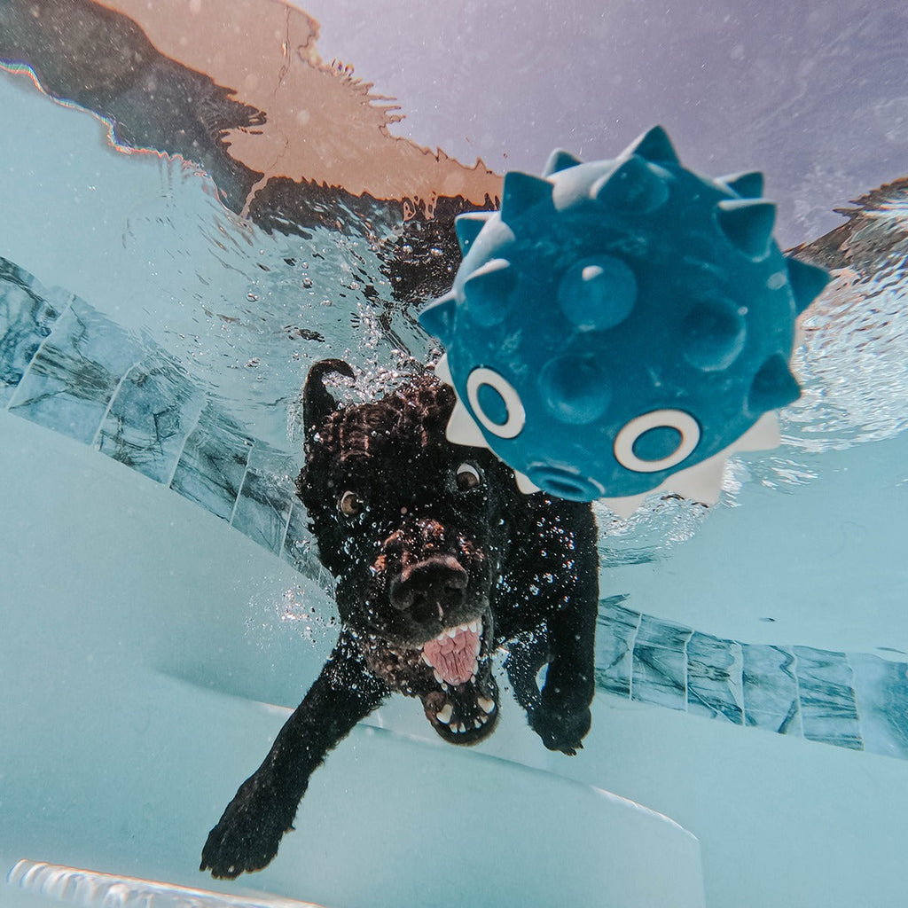 Throwfish Super Chewer Durable Fetch Dog Toy
