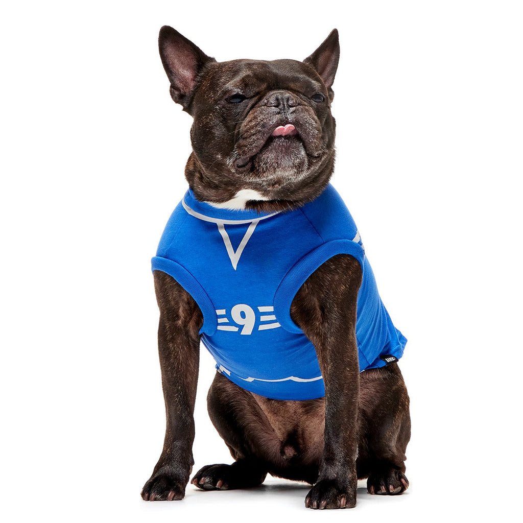 QuidditchTM Jersey