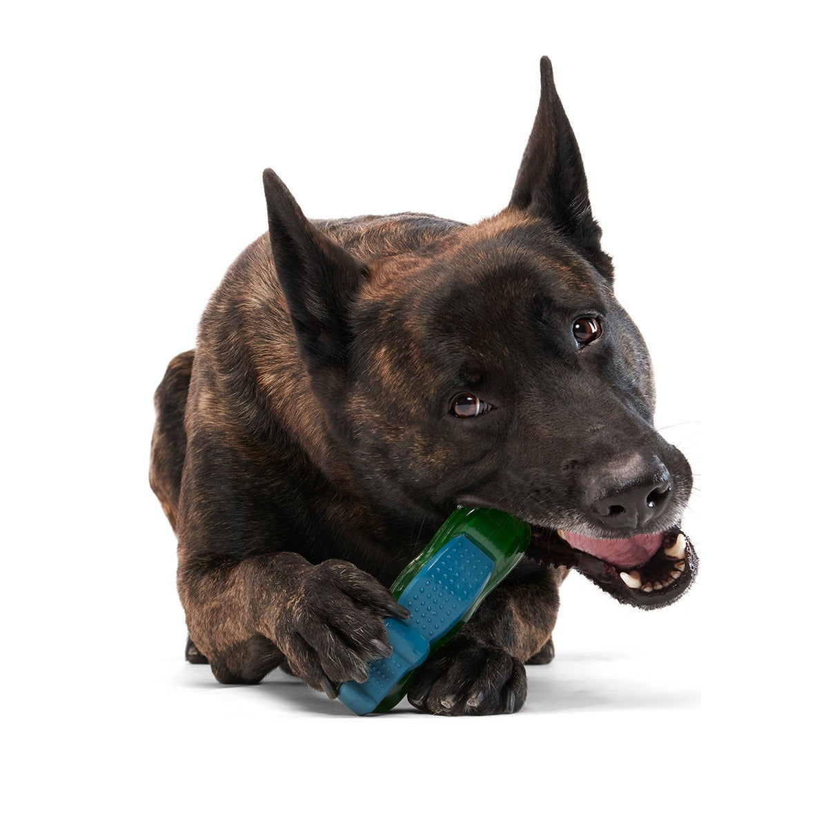 Crocness Monster Super Chewer Durable Gnaw Dog Toy