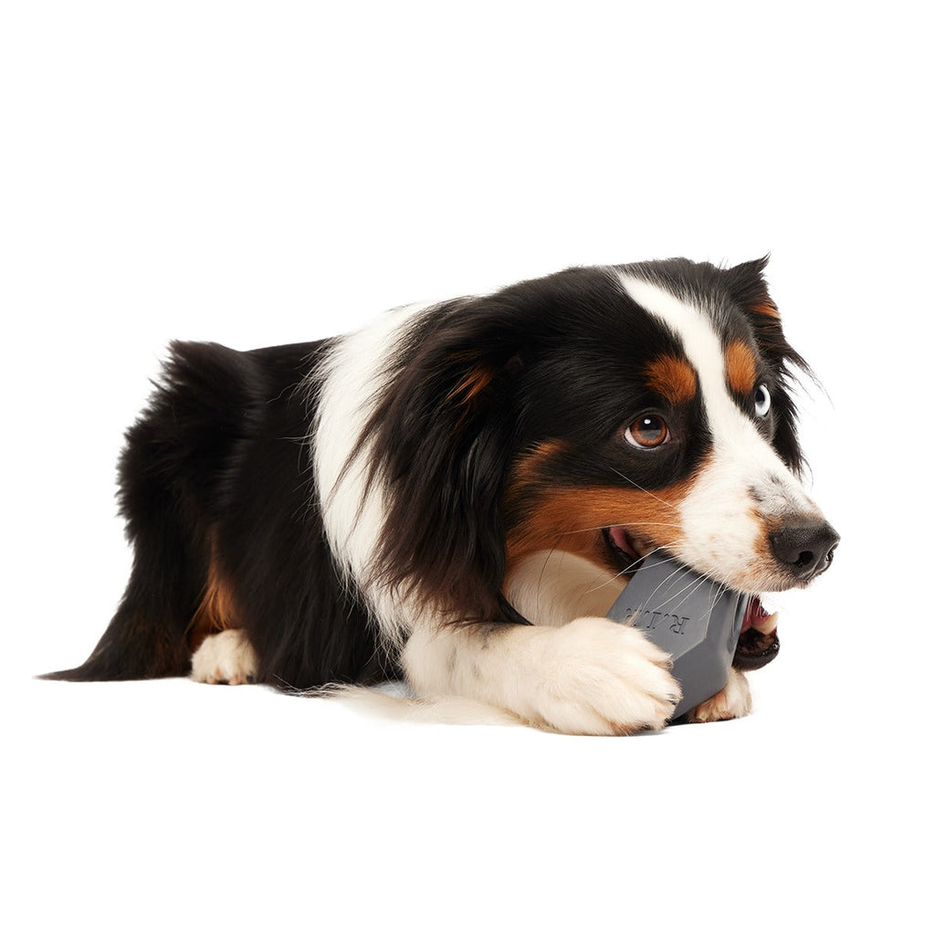 Snack Casket Super Chewer Durable Enrichment Dog Toy
